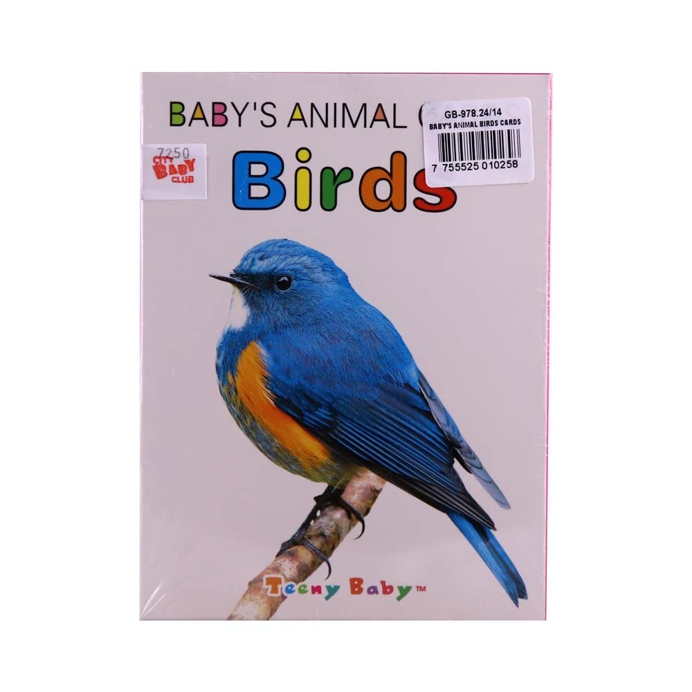 Baby's  Animal Birds Cards
