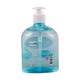 Family Care Hand Wash Anti-Bact Berry 500ML