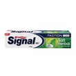 Signal Action 123 Salt Herbal Toothpaste 175G