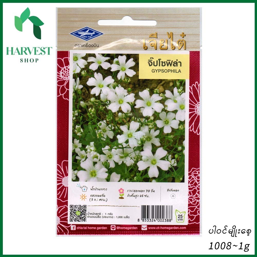 Harvest Shop ကြယ်ပန်းမျိုးစေ့ HF 035
