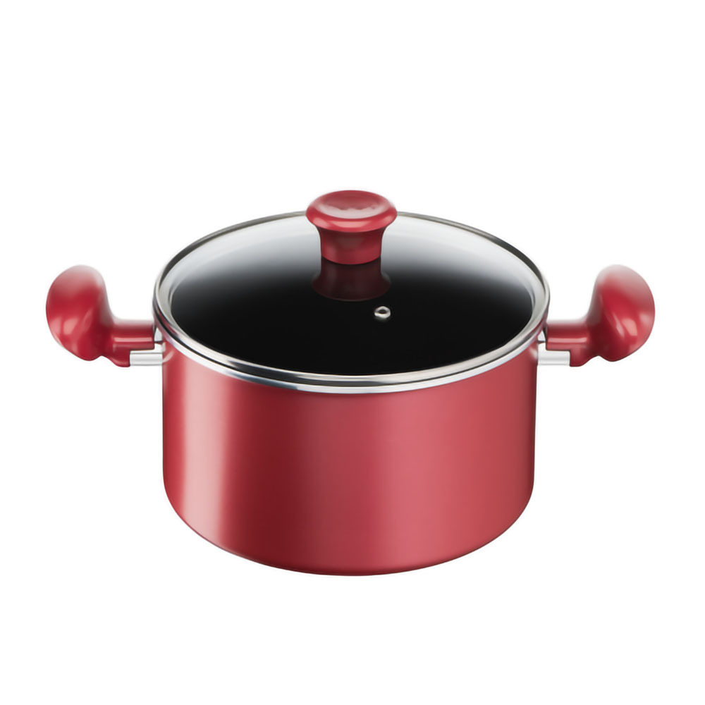 Tefal  So Chef Stock Pot 22+Lid  G1354595