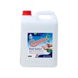 Cleanlux Hand Sanitizer 5L Refill