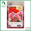 Harvest Shop ဒန်းပန်းမျိုးစေ့ HF 013