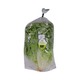 City Farm Gap Lettuce 