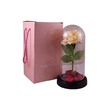 Light Table Decoration A021571
