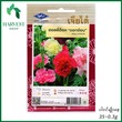 Harvest Shop ပန်းချဉ်ပေါင်မျိုးစေ့ HF 028