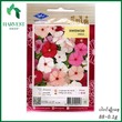 Harvest Shop ကညွတ်ပန်းရောင်စုံမျိုးစေ့ HF 033