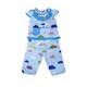Bambi Baby Night Wear Silk Cotton One Set BAMBI_BABY03_1 Sky Blue (3 Years)