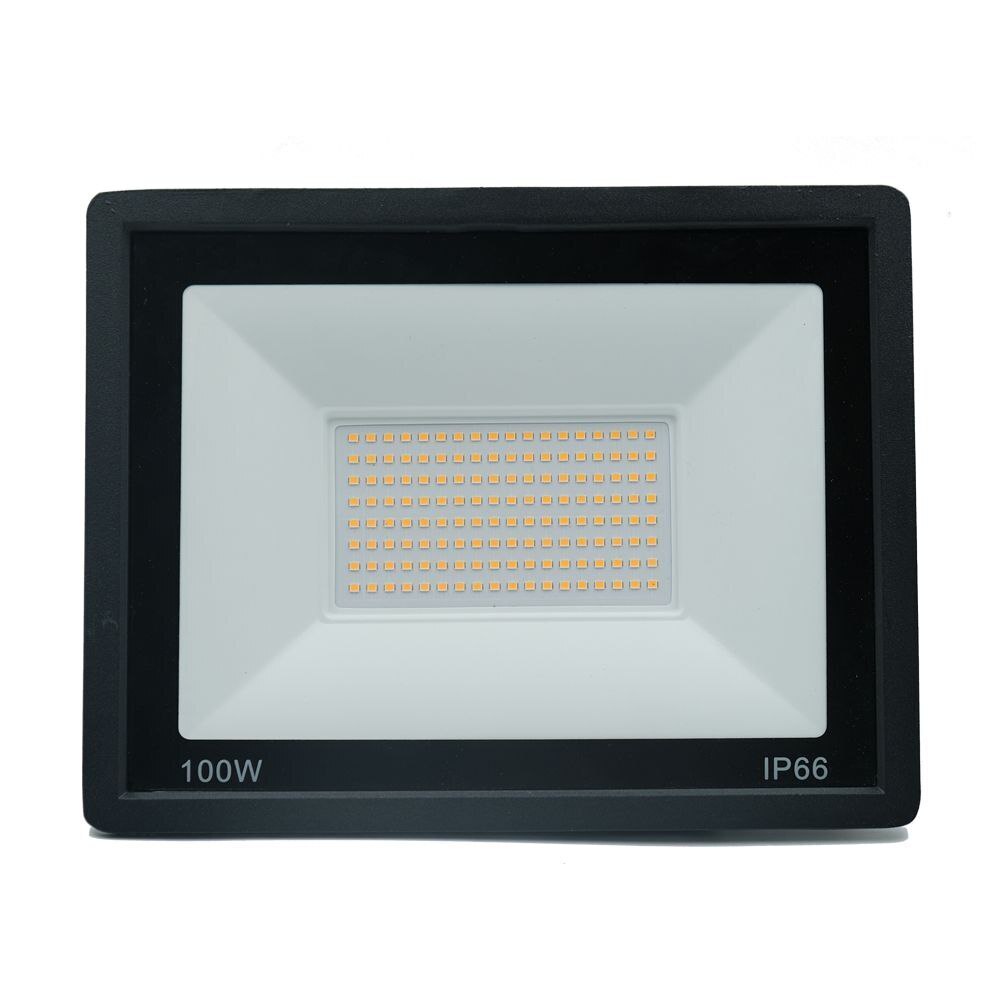 Kira LED Floodlight 6500K 100W