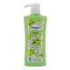 D Family  Orchid Shower Cream 540ML