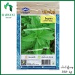 Harvest Shop ထိုင်းပင်စိမ်းမျိုးစေ့ LF 011