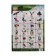BIRDS POSTER (TRUE LEARNING)