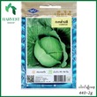 Harvest Shop ဂေါ်ဖီထုပ်မျိုးစေ့ HD 002