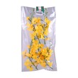 Sdm Padauk Flower 5PCS