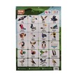 BIRDS POSTER (TRUE LEARNING)