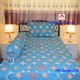 Harmony Homes Single Bedsheet BS06 (HH Single-210)