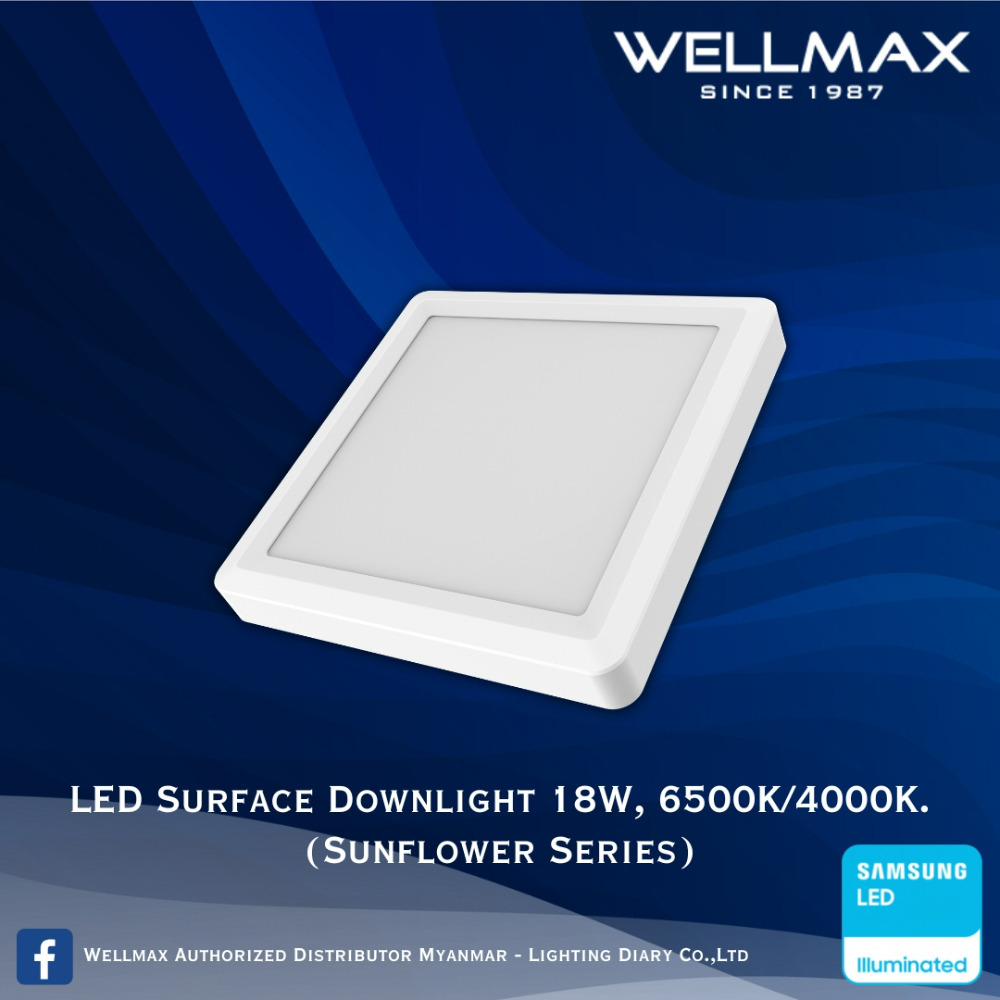 Wellmax Sunflower Series LED Surface Square Downlight 6500K 18W L-DL-0221(S)