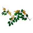 PF Padauk Hanging Flower & Leaf 10PCS