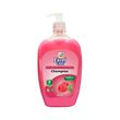 Excel Care Champion Anti-Bacteria Hand Wash 500ML (Raspberry)