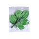 Dpw Padauk Leaf 10PCS