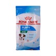 Royal Canin Dog Food Mini Puppy 800G