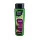 Follow Me Green Tea Anti-Hair Fall Shampoo 170ML (Grape Seed Extract)