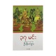 ၃၇ မင်း (အမျိုးသားပညာဝန်ဦးဖိုးကျား