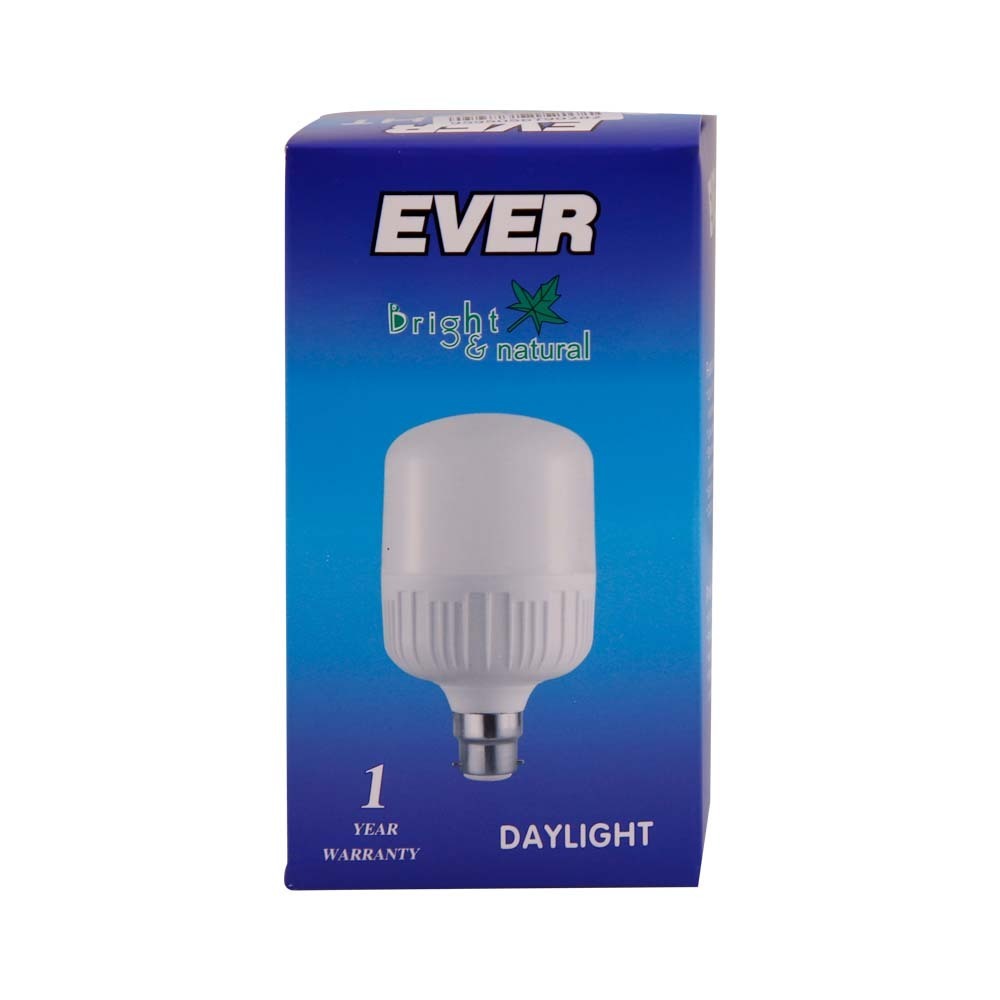 Ever Daylight Bulb 15W B22 (Pin)