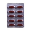 Silybean-Comp 10PCS