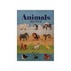 Animals ပုံပြအဘိဓာန်-တီချယ်မောင်