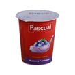 Pascual Yoghurt Blueberry 120G