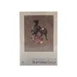 Burmese Days New Ed(Orwell)