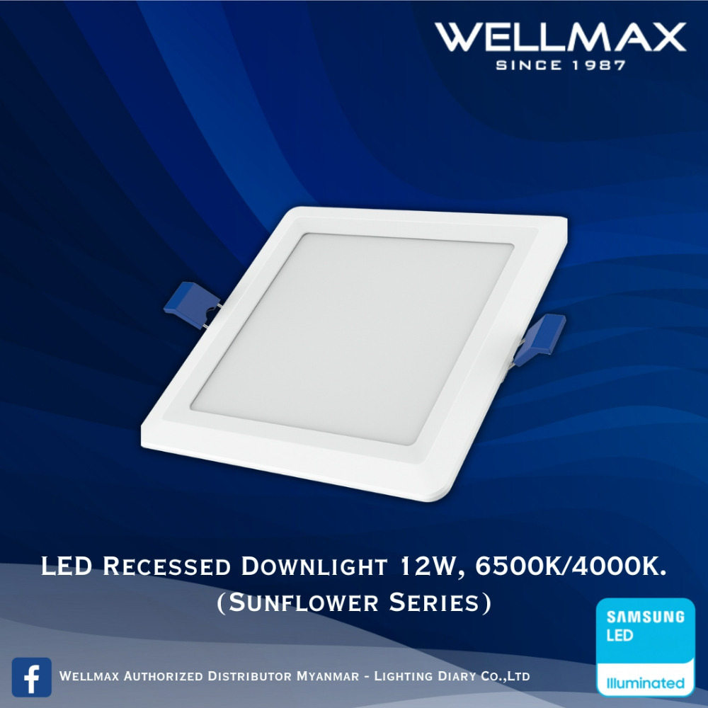 Wellmax Sunflower Series LED Recess Square Downlight 6500K 12W L-DL-0220(S)