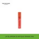 The Face Shop Lip Blurrism 03 Antique Orange 8801051477030