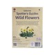 Spotter's Guides Wild Flowers