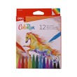 Deli Colorun Felt Pens 12PCS C10000
