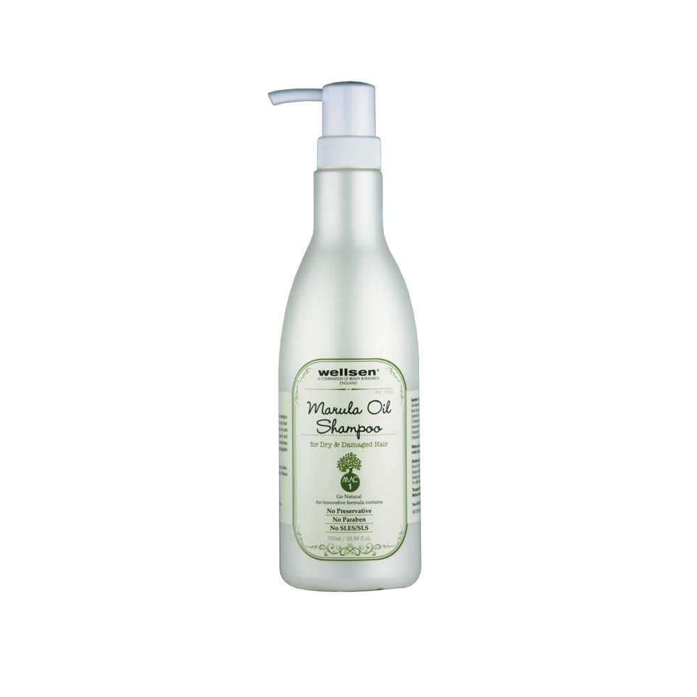 Wellsen Shampoo Dry & Damage Hair 325ML