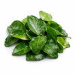 Kaffir Leaves 50G