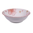 Cherry Curry Bowl 7in