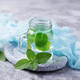 Cosmo Mint & Green Tea Facial Cleansing Toner 250ML