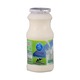 Dutch Mill Pasteurized Milk Sweet 155ML