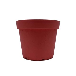 BABA BI-TN-3450-A Pot  Soffy Purple 712155