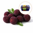 Bayberries (Pack)