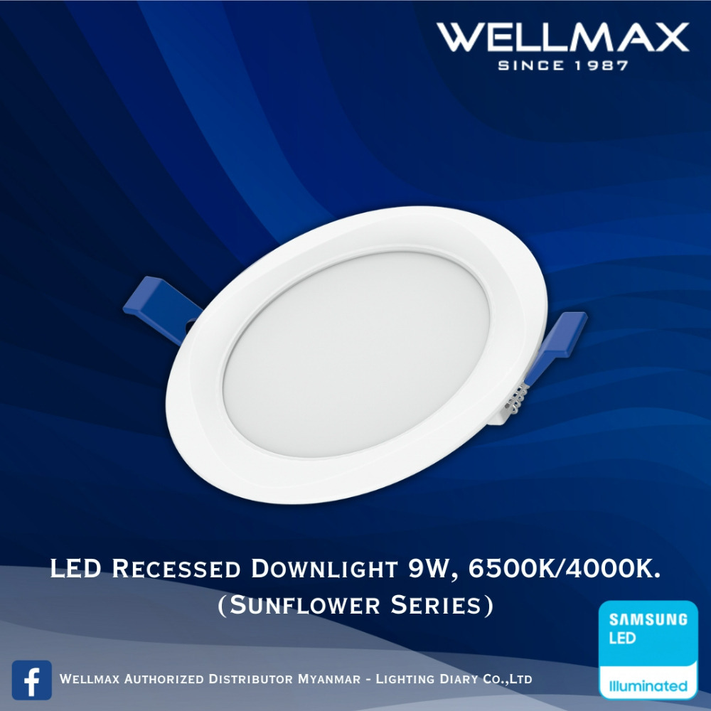 Wellmax Sunflower Series LED Recess Round Downlight 6500K 9W L-DL-0120(R)