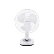 Tiger Rechargeable Table Fan 12IN RTF-9999 (PRO)