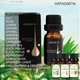 B11 Esseential Oil For Humidifier HATHO001N