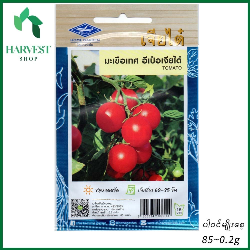 Harvest Shop ခရမ်းချဉ်သီးမျိုးစေ့ TM 002