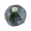 Savoy Cabbage