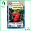 Harvest Shop ခရမ်းချဉ်သီးမျိုးစေ့ TM 002