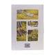 Happiness In Yellow Save Box (Sue Sha May)